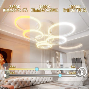 Modern LED Ceiling Chandelier Lights Ring